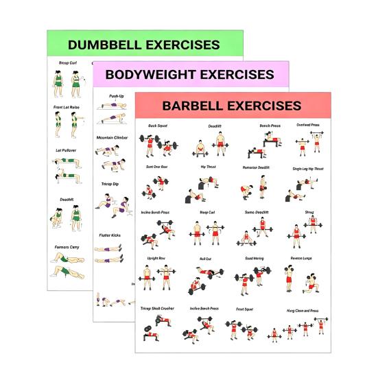 

3Pcs Home Workout Poster Set with Dumbbell Bodyweight Barbell Exercises Full Body Strength Training Guide for Beginners Advanced Laminated Fitness Sets