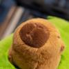 Latest Avocado Guinea Pig Doll Kawaii Stuffed Plush Toy Figurine Doll Cartoon Anime Cute Pillow Children's Birthday Gift Doll