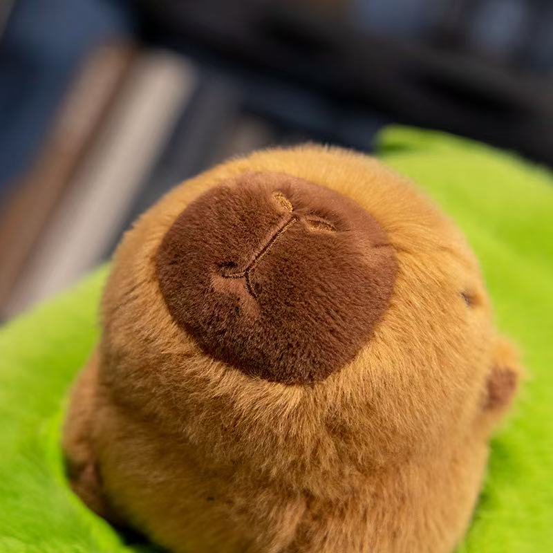 Latest Avocado Guinea Pig Doll Kawaii Stuffed Plush Toy Figurine Doll Cartoon Anime Cute Pillow Children's Birthday Gift Doll