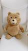 [USED] Ted Ted Bear Plush Sun Arrow Backpack Teddy Bear
