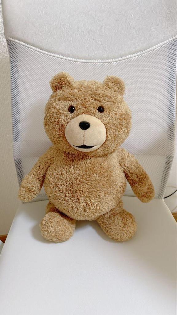 [USED] Ted Ted Bear Plush Sun Arrow Backpack Teddy Bear