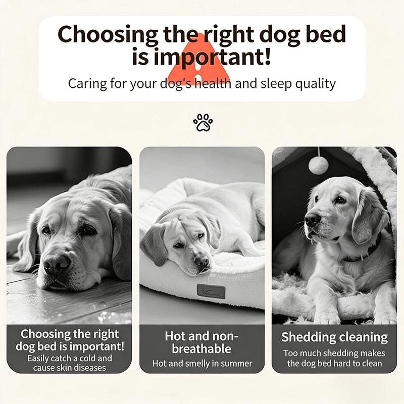 Pet Bed Dog Bed Large Pet Bed Cat Bed Ventilated Supports Up To 200Kg