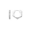 Luxenter Earrings with Cubic Zirconia In Silver Finish - Xasmo