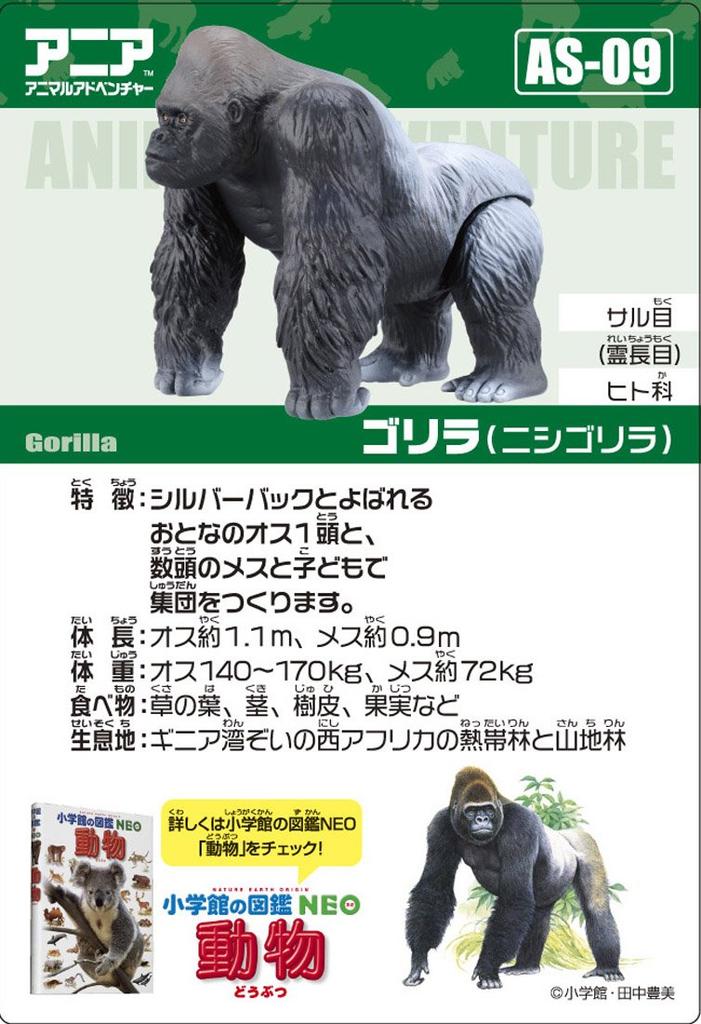 Ania Gorilla AS-09