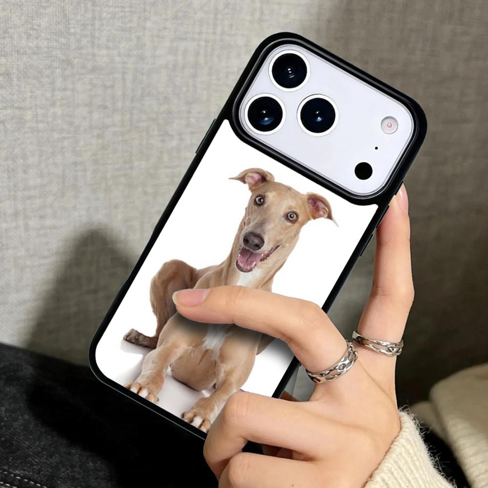 Hülle Case für iPhone 17 Air 16 Pro Max 15 Plus 11 13 Mini 14 12 Rückseite Handyhülle Tolles sitzendes Rehkitz Windhund Hund