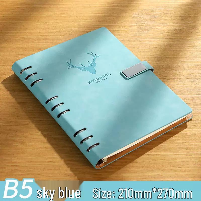 Abnehmbares B5 Hochwertiges Notizbuch-Set mit losen Blättern: Geschenk für Studenten & Geschäftsleute