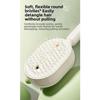 Multi-Function Electric Spray Hair Brush Anti-Frizz Large Tank 2-In-1 Misting Hair Brush  Women