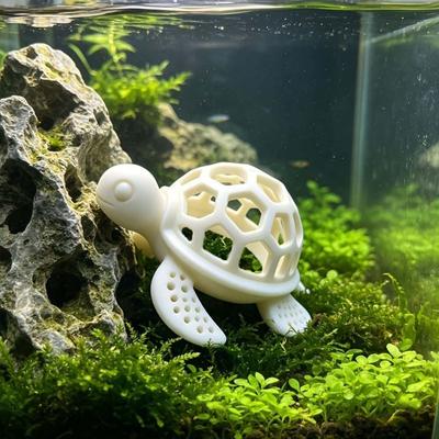 Vissen en zeedieren – Aquarium decoratie