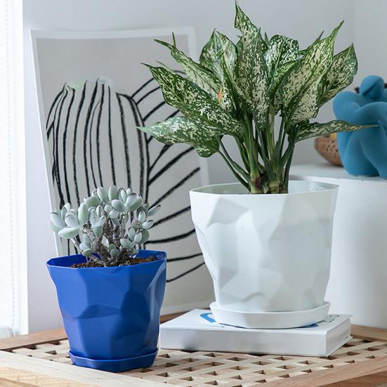 Květináč Odolný Stabilní Dekorativní Prodyšné Sukulenty Zahradní květináč s podnosem pro domácnost