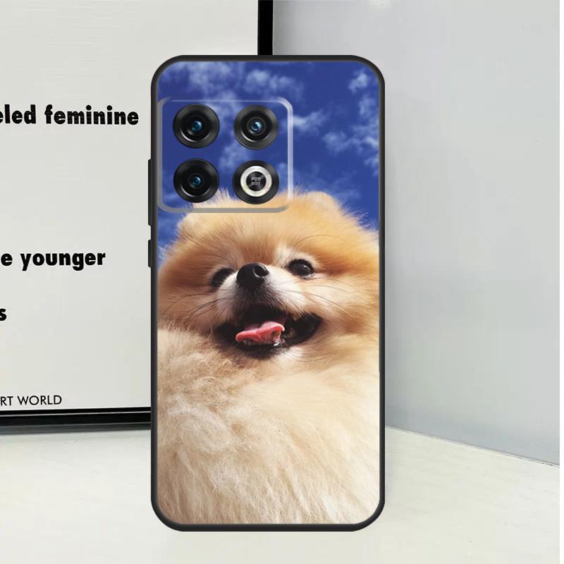 Pomeranian Dogs Dog Colorful For OnePlus Nord CE 5 2 3 4 Lite N20 N30 Case For OnePlus 15 13 12 11 10 Pro 10T 12R 13R 13T