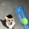 Crunchnplay Bottle Toy for Dogs Plastic Bottle Chew Toys with Tennis Water Bottle Cruncher Interactive Dog Toy