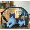 Kleiner durchsichtiger Hundetransportkorb/Tragetasche