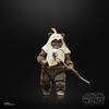 Hasbro STAR WARS Black Series Papu Return of the Jedi 40th Anniversary Collectible Action Figure Ages 4 and Up 6-inch