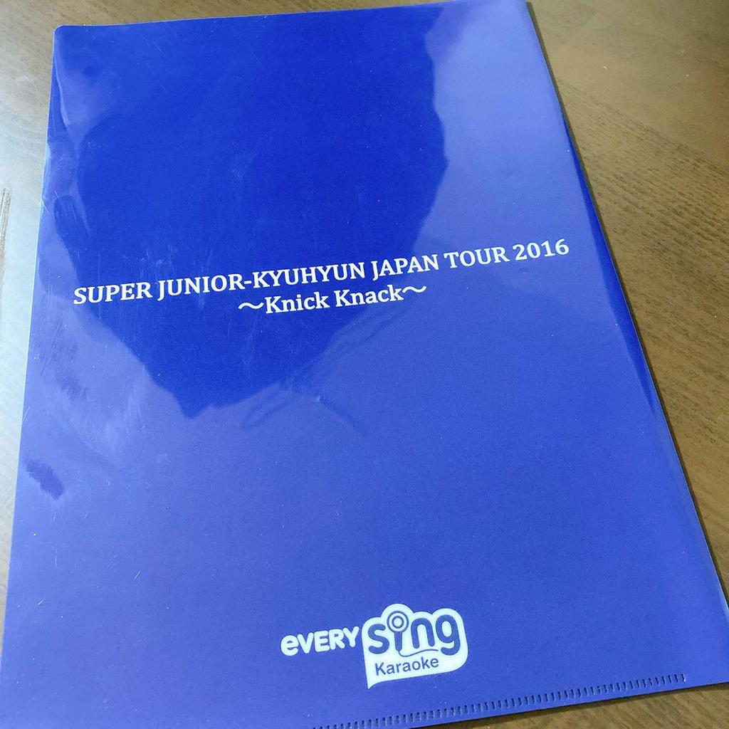 [USED] SUPER JUNIOR KRY Kyuhyun clear file