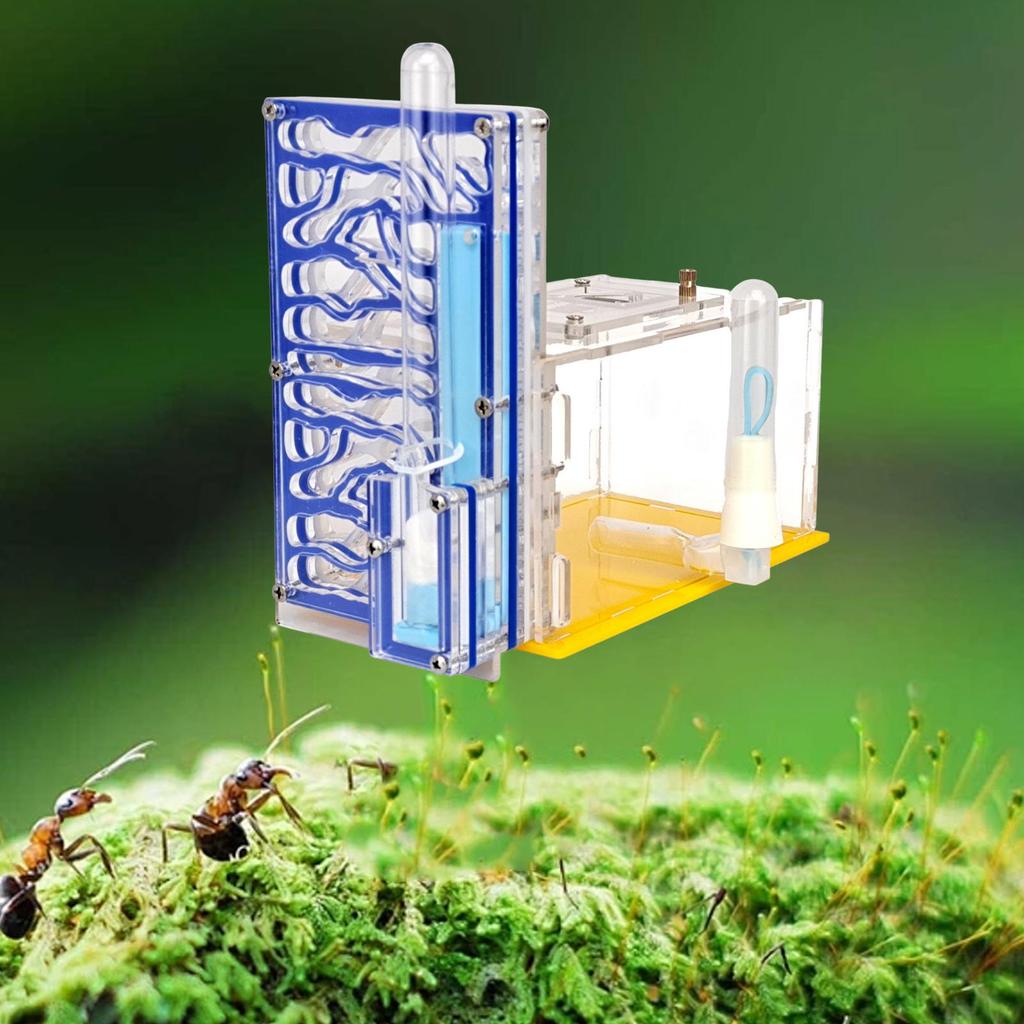ANT Housing Nest DIY Funny Toys with Feeder Acrylic Habitat for Children's Day Lovers Decoration Tabletop Science Observation