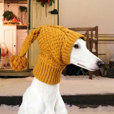 Giyim ve ayakkabı – Köpek için şapkalar