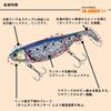 Daiwa Seabass Jig Head Worm Flat 30g Matte Chart (DAIWA) + SB-Rodem