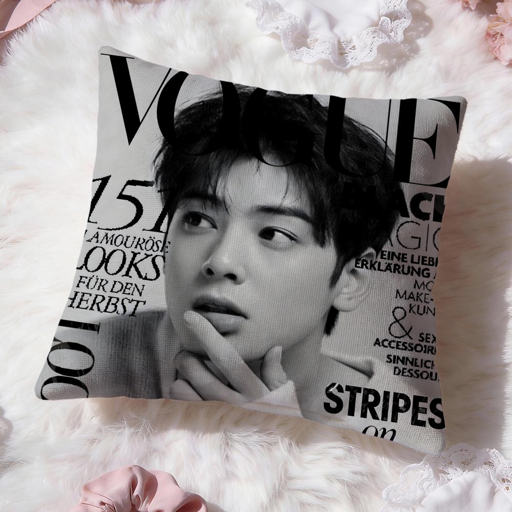 

C-Cha E-Eun Woo Cushion Cover Premium Comfort Reversible Pillow Cove -Two in One Design for Any Room & Car Interior 30cmx30cm