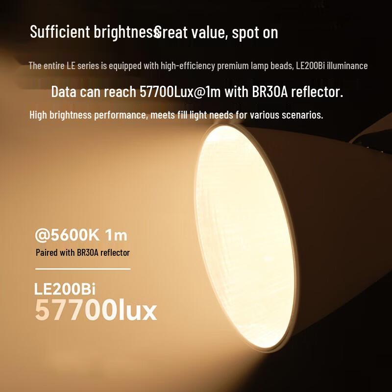 Godox LE200Bi Bi-color LED Video Light Kit