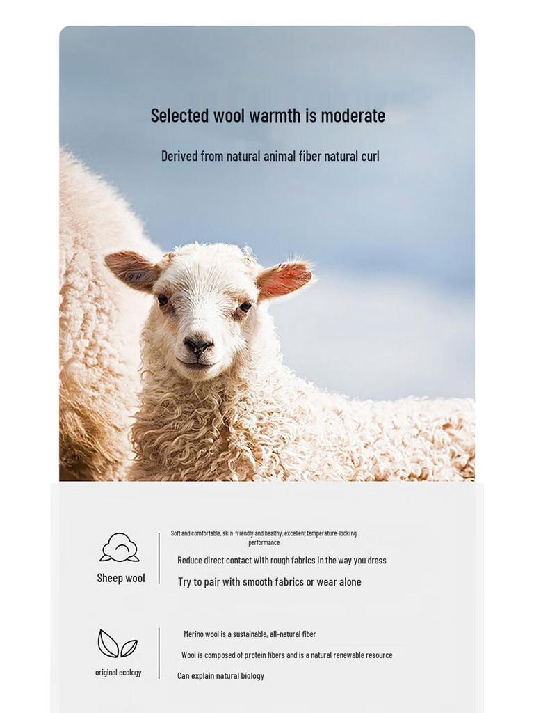 Men's Merino Wool V-Neck Pullover Vest