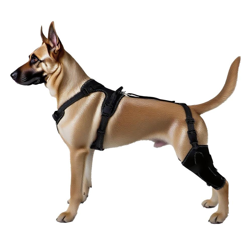 Pet Protector Dog Hindleg Double Protector Thigh Protector Postoperative Auxiliary Leg Cover Adjustable Metal Support