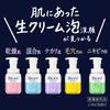 Bior  Acne Care Foam Cleanser 340ml