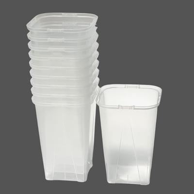 Negamiel 10pcs Clear Slit Pot by Asaoka Houseplants Plastic Clear Tuberous Plants Fruit Tree Seedlings Vegetable Seedlings Herbs Pots with Visible