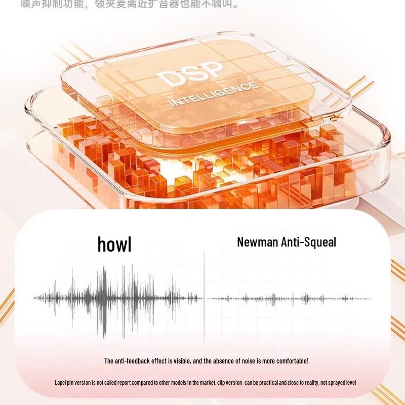 Newmine Wireless Clip-On Voice Amplifier (CN Version)