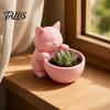 Katzenform Pflanztopf 3D Gedrucktes Ornament, Topf, Schreibtisch Dekorativer Pflanzenhalter, Mattes Frosted Oberflächenbehälter für Heimdekor Blume