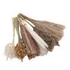 Boho Dried Flowers Bouquet Pampas Grass Dried Bunny Tail Grass Reed Grass Kit for Flower Arrangement Type 1