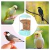 Automatic Bird Feeder For Cage Smart Clear Parakeet Feeder Dispenser Large Capacity Food Container Anti Spill Cage Accessories