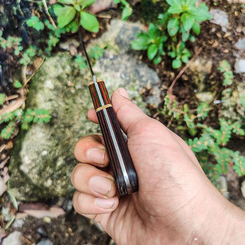 Nerezový nůž na vykosťování Kuchyňský nůž Domácí krájení zeleniny Nůž na ovoce s krytem nože