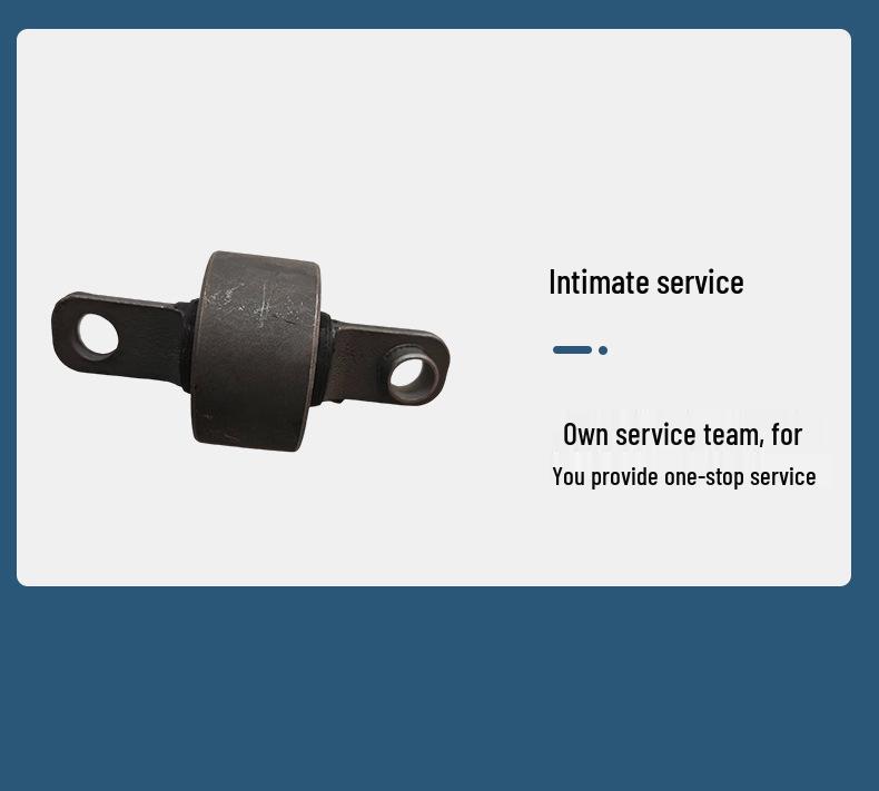 Modern Control Arm Lower Suspension Dust Boot 55543-2H000 for Automotive Use