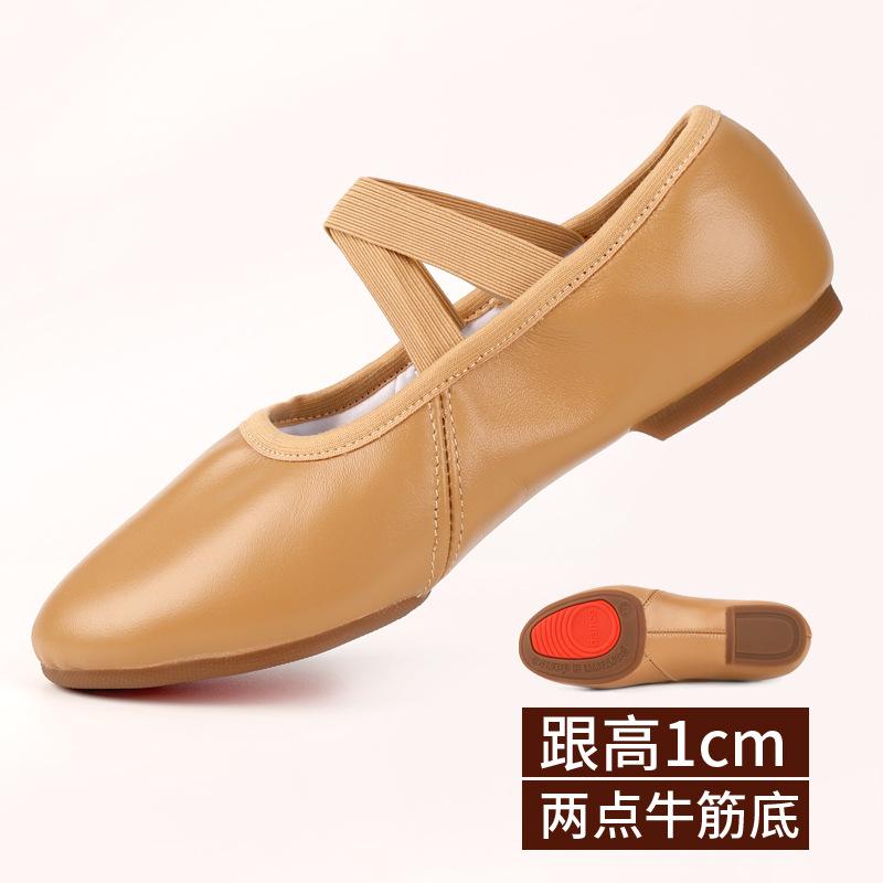 Dance Shoes for Women Two Point Flat Sole Teacher Shoes Professional Dance Shoes