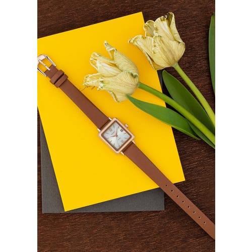 Casio Sheen Solar Watch SHS-D400CGL-7AJF Women's Brown