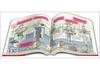 English Oral Practice for Tourism: Video Learning with CD-ROM
