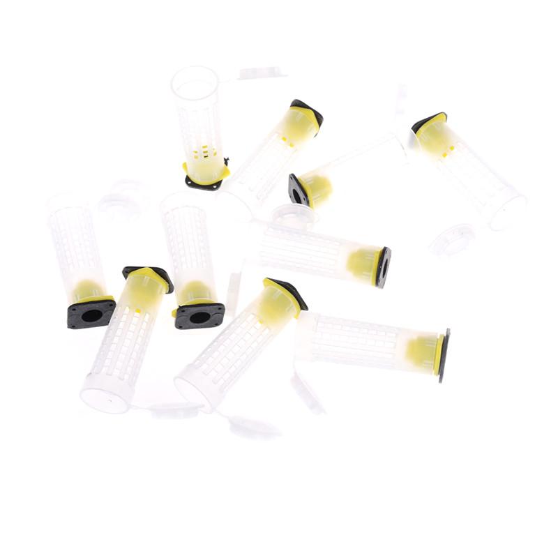 10Pcs Beekeeper Equipment Tool Beekeeping Rearing Cup Kit Queen Bee Cages