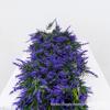 Simulation Lavender Vine Decor for Fireplace and Scene Setting