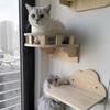 Cat Wall Climbing Shelf Steps Ladder Scratching Post Scratcher Bed Hiding House for Cats Tree Tower Pet Furniture Accessories