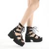 Solid Platform Women Sandals Summer Shoes Open Toe Rome Style High Heels Buckle Gladiator Shoes Woman