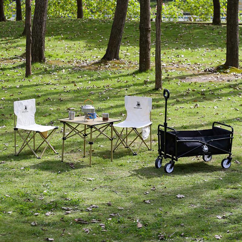 Huilingyang Portable Outdoor Picnic Set with Cart