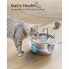 Cat Water Fountain Stainless Steel: 74oz/2.2L Cat Fountain for Drinking - Pet Water Fountain for Cats Inside - Quiet Cats Water Bowl Dispenser -