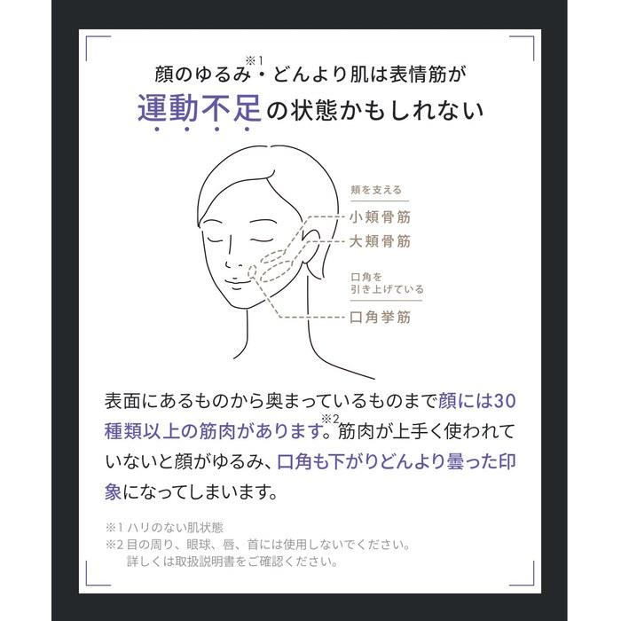 SALONIA Beauty Device EMS Lift Brush 3D Care [Amazon.co.jp Exclusive] Top Model