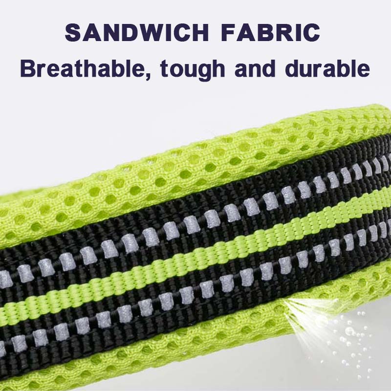 Truelove Hundehalsband zum Gassigehen Komfortgepolstert mit Schnalle Nylon Reisehalsband Taktisches Hundezubehör 11 Farben Größe XXS-XXXL