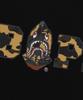 Beipeu First Camo Bape Logo Relaxed Fit T-Shirt (M) Black