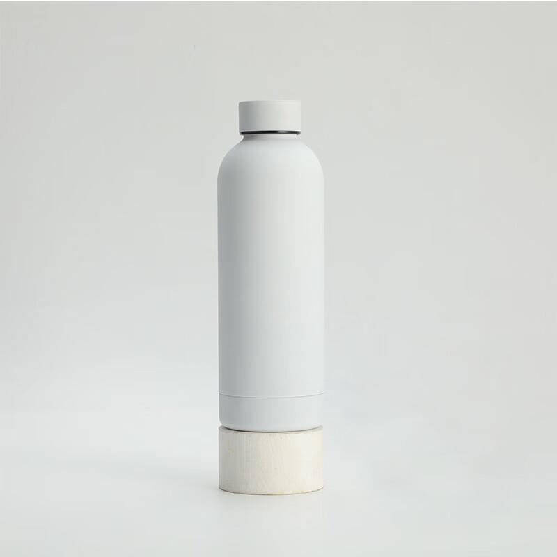 Frosted Double-Layer Insulated Sports Water Bottle