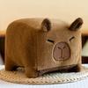 Square Capybara Plush Toy Cute Stuffed Animal Doll Cartoon Decoration Gift Kids