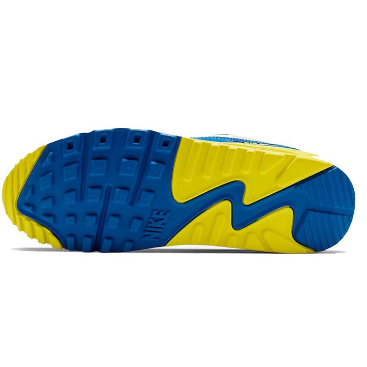 Nike Air Max 90 Viotech CD0917-300