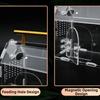Acrylic Reptile Breeding Box Magnetic Snap Closure Reptile Terrarium Hermit Crab Habitat  Travel
