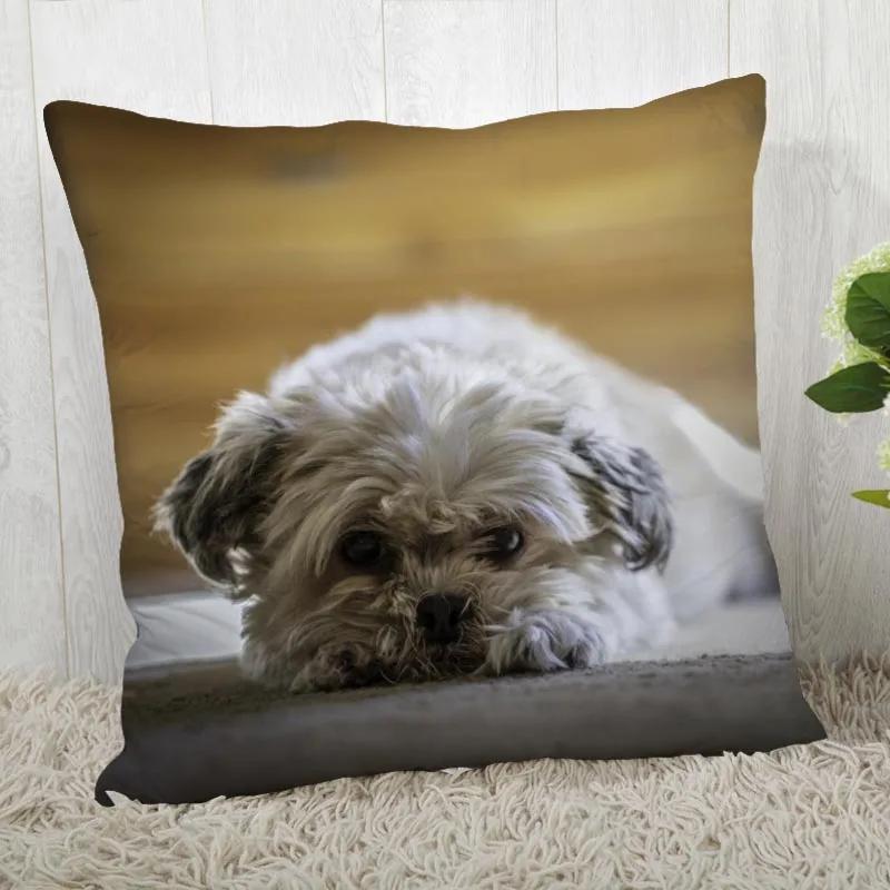 Fodera per cuscino per cane Shih Tzu Personalizza federa Moderna casa decorativa federa per soggiorno